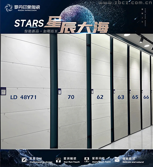 罗丹印象400800星辰大海_2.jpg