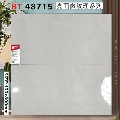 贝斯特400800亮面微纹理中板_5.jpg